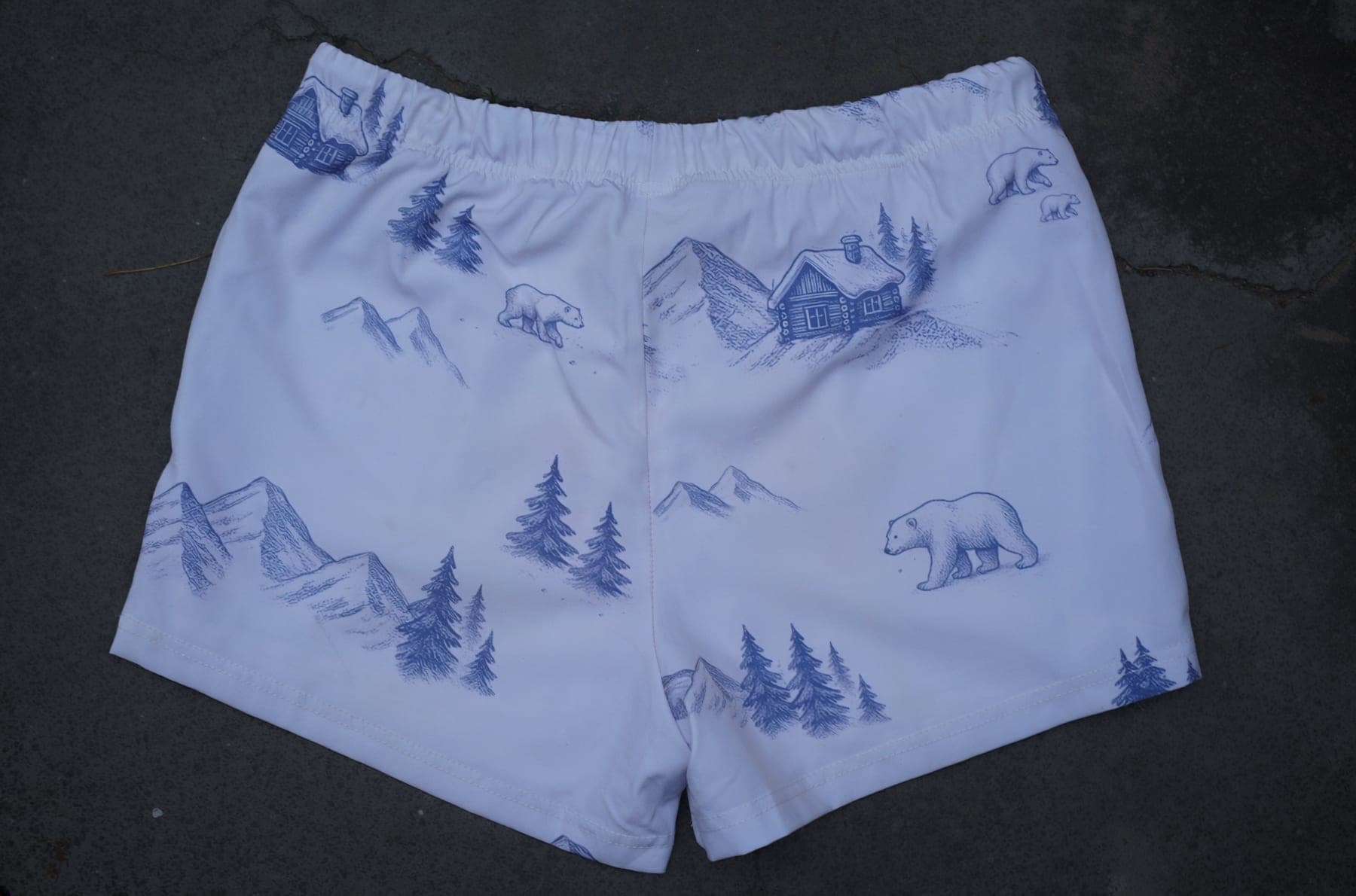 Polar Bear Print Swim Shorts