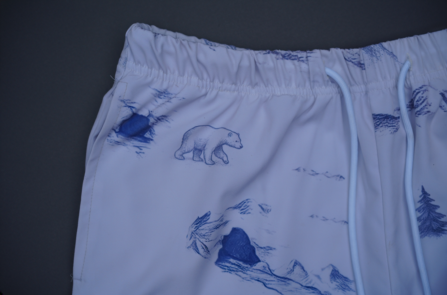Swim shorts - Polar bears